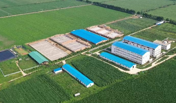 猪场建设指导