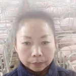 林风仙